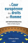 La Cour européenne des droits de l'homme