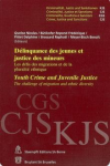 Délinquance des jeunes et justice des mineurs