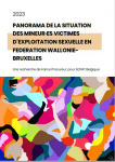 Panorama de la situation des mineur.es victimes d'exploitation sexuelle en Fédération Wallonie-Bruxelles